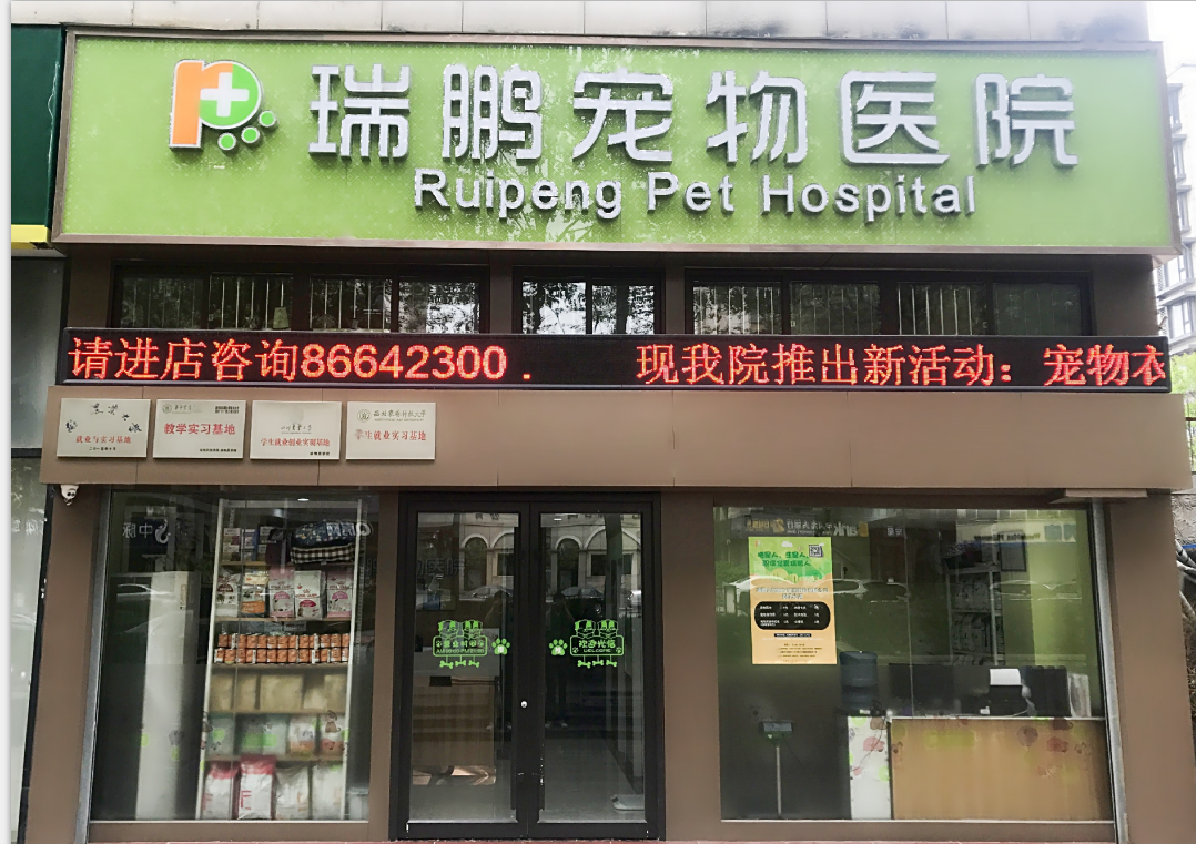 瑞鹏宠物医院·南京区中央门分院