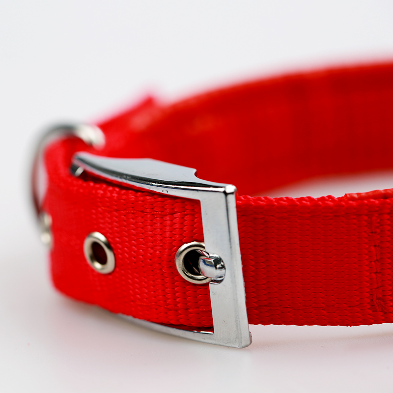 https://oss.upetmart.com/www/shop/pointprod/06001954583480545.jpg