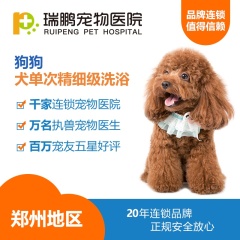 【瑞鹏郑州】犬单次精细级洗浴（每个用户仅限购买一次）