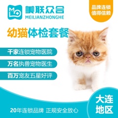 【美联大连】幼猫体检套餐 猫咪