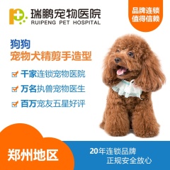 【瑞鹏郑州】宠物犬精剪手造型（每个用户仅限购买一次）