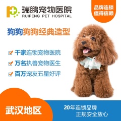 【瑞鹏武汉】狗狗经典造型（每个用户仅限购买一次） 0-6kg