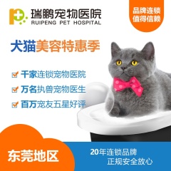 【瑞鹏东莞】美容特惠季-护理洗浴4次 猫（长毛）
