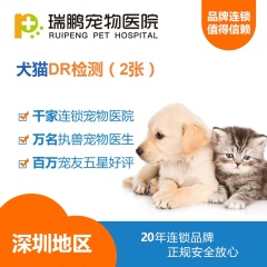 【瑞鹏深圳】DR检测（2张） 猫