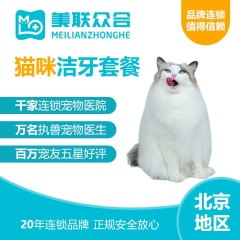 【美联北京】猫洁牙套餐（中心医院） 猫咪
