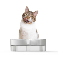 pidan双碗 S款猫碗套装带架子倾斜猫食盆 猫水碗 吃饭喝水的碗 灰色