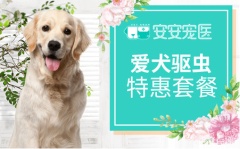 【安安宠医苏州】爱犬进口单次驱虫