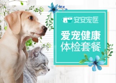 【安安宠医上海】猫咪全套健检及完整肾脏功能检查 猫咪