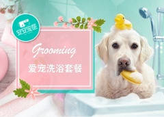 【安安宠医上海】猫猫健康洗浴套餐 猫咪洗澡