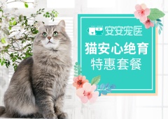 猫咪(公/母)品质安心绝育套餐--含血液检查 猫咪【呼吸麻醉】