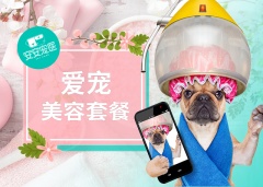 【安安宠医上海】6KG以下狗狗时尚美容套餐 6KG以下狗狗美容