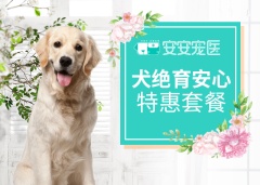 5KG以下公犬安心绝育手术套餐 公犬呼吸麻醉【5kg以内】