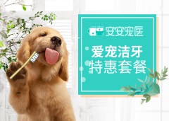 【安安宠医上海】10KG犬猫超声波洗牙套餐 上海