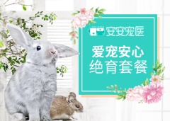 公兔绝育套餐 公兔