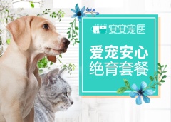 5kg以下母犬全套安心绝育套餐 母犬呼吸麻醉 0-5kg