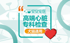 高端心脏专科检查套餐 心脏检查
