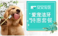 【嘉兴通用】-犬猫通用超声波洁牙套餐 犬猫 0-10kg