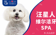 【宠颐生上海】犬维尔洁牙SPA（无需麻醉） 狗狗 犬＜10kg