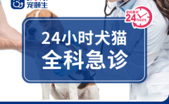 【宠颐生上海】仅售170元，价值250元24h夜间急诊套餐 犬猫 24h夜间急诊挂号费