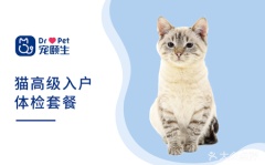 【宠颐生潍坊】猫高级入户体检套餐 猫咪 猫高级入户体检
