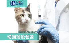 【宠颐生海南】幼猫免疫套餐 幼猫疫苗套餐 幼猫