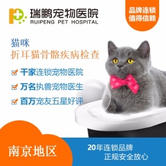 【南京瑞鹏】折耳猫骨骼疾病检查套餐 猫咪