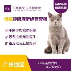 【贝克和史东广州】爱宠呼吸麻醉绝育 母猫