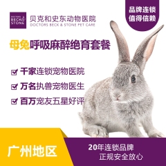 【贝克和史东广州】爱宠呼吸麻醉绝育 母兔