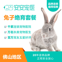 【安安宠医佛山】兔子绝育手术 母兔子