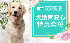 【安安宠医上海】10KG以下母犬绝育手术 母犬呼吸麻醉 10kg以下