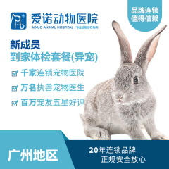 【爱诺广州-雅泰】新养兔子/龙猫/仓鼠体检套餐 兔子/龙猫/仓鼠/荷兰猪​