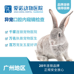 【爱诺广州-雅泰】异宠口腔内窥镜检查套餐 兔子、龙猫、荷兰猪