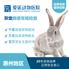 【爱诺惠州】异宠粪便常规检查