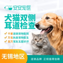 【无锡安安】犬猫双侧耳道检查
