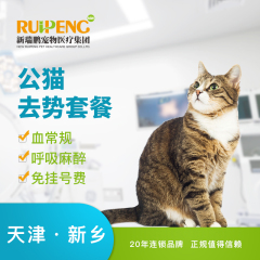 【新瑞鹏天津+新乡】公猫去势套餐 公猫【呼吸麻醉】 0-10kg