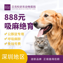 【深圳绝育】异宠绝育套餐【深圳贝克南山】 公豚鼠（公荷兰猪）