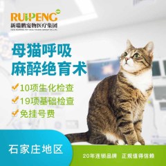 【新瑞鹏石家庄】母猫呼吸麻醉绝育术 母猫【呼吸麻醉】 母猫【呼吸麻醉】