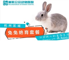 【杭州美联】公母兔子平安绝育套餐 公