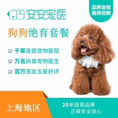 【安安宠医上海】10kg以下公犬去势常规套餐 0~10kg公犬去势