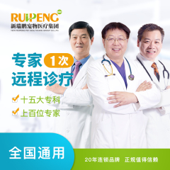 【新瑞鹏全国】到店服务-专家远程诊疗卡 专家远程诊疗Ⅰ 1次