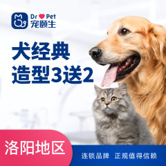 【洛阳区】犬猫经典造型买3送2 狗狗美容 0-3kg