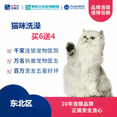 新春【新瑞鹏-东北区】猫咪洗澡次卡买6送4 长毛