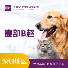 【深圳B超】犬猫腹部B超【深圳贝克福田】 腹部B超