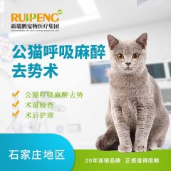【新瑞鹏石家庄】公猫呼吸麻醉去势术 公猫【呼吸麻醉】 公猫【呼吸麻醉】