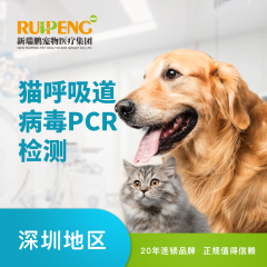 【深圳体检】猫呼吸道病毒PCR检测【深圳凯特喵】 猫咪 体检套餐
