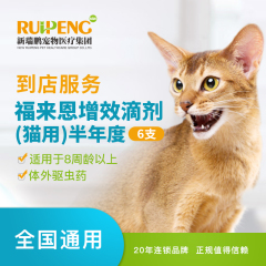 【新瑞鹏全国】到店服务-福来恩滴剂半年度（猫） 福来恩（猫）
