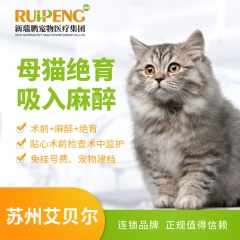 【苏州艾贝尔】母猫绝育吸入麻醉 母猫绝育吸入麻醉 0-5kg