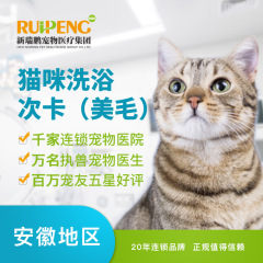 【芜湖马鞍山滁州安庆池州宠颐生】猫咪美毛护肤浴9次卡 5≤W＜8（短毛）