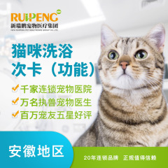 【芜湖马鞍山滁州安庆池州宠颐生】猫咪精细级洗浴8次卡 W≥8（短毛）