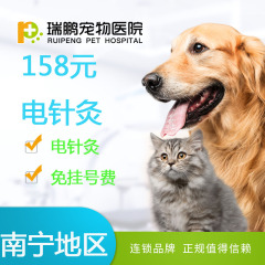 【瑞鹏南宁】中兽医电针灸